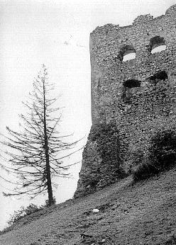 Autor: Marian W. Nowak
Opis: Zamek w Czorsztynie